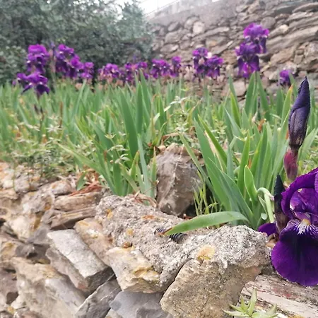 Kwatera prywatna Guesthouse Alassio